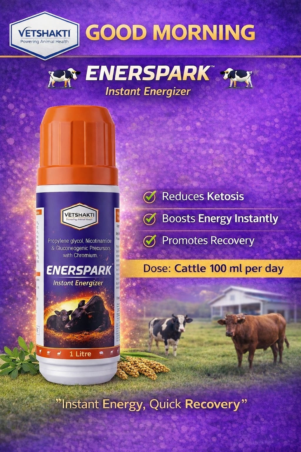 Managing Energy Deficiency & Ketosis in Dairy Animals: A Practical Nutritional Approach