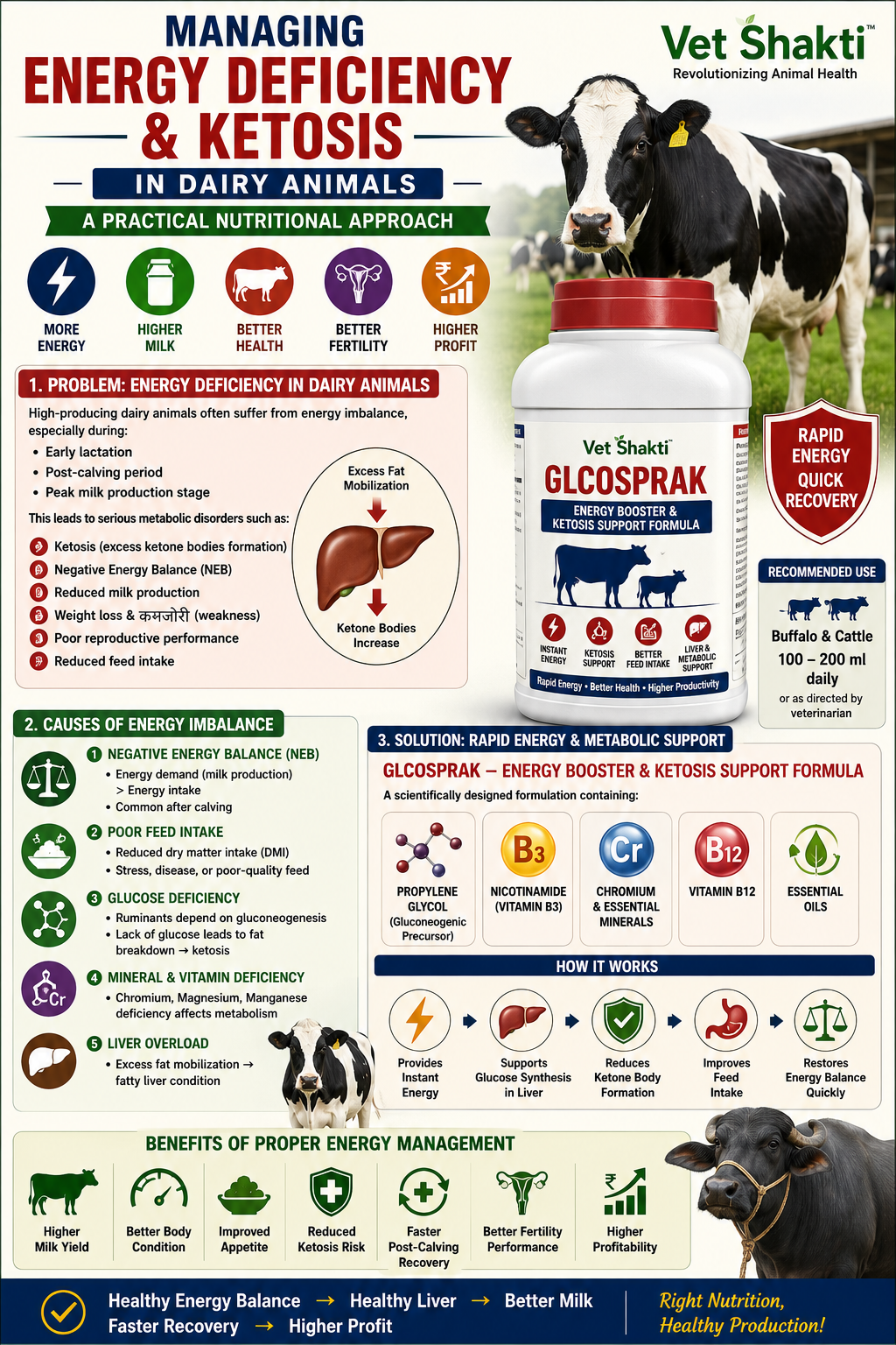 Managing Energy Deficiency & Ketosis in Dairy Animals: A Practical Nutritional Approach